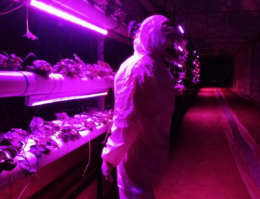 Fresa Vertical Con LED