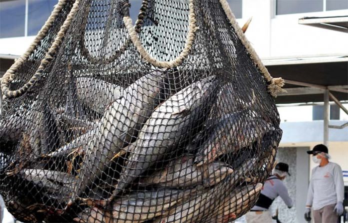EL MAYOR reto actual en los mares mexicanos, es detener la pesca ilegal, dijo el expresidente colombiano César Gaviria.