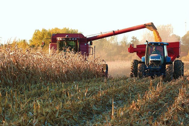 BAJO ESTE esquema el año pasado se produjeron cerca de 20 millones de toneladas en todo el país.