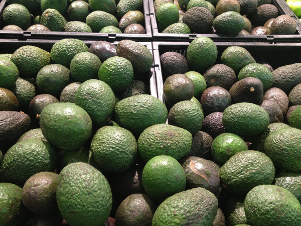 PREVÉN detener el incremento al precio del aguacate.