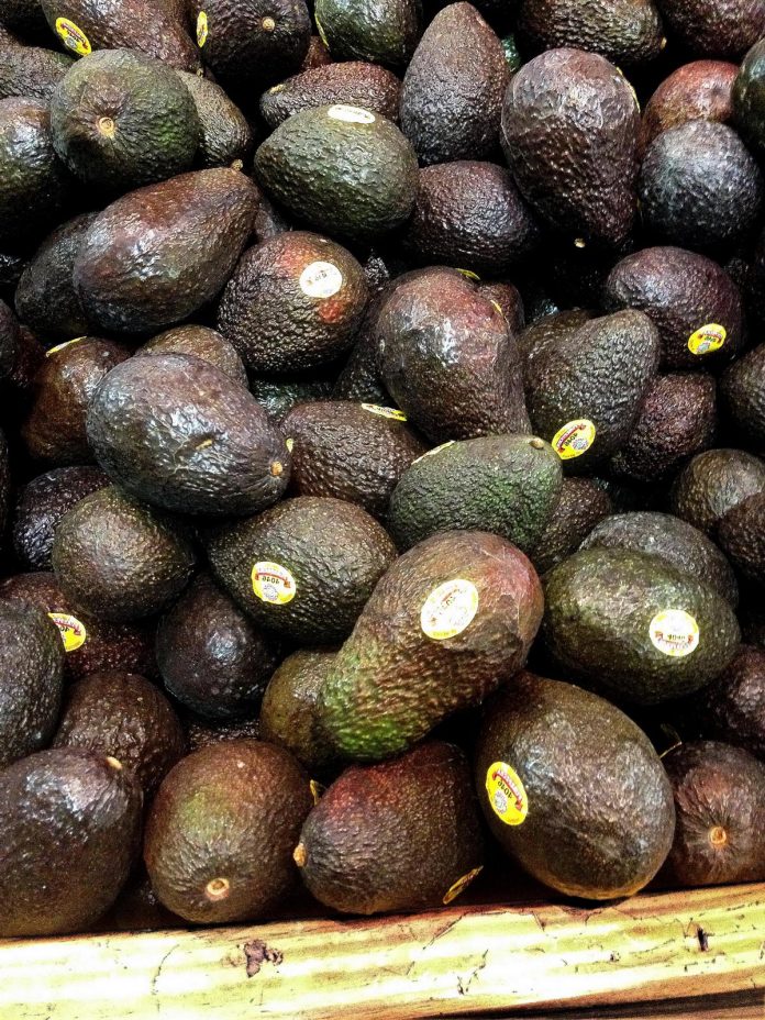 Los productos con mayor valor de exportación fueron la cerveza, tequila, mezcal y aguacate.