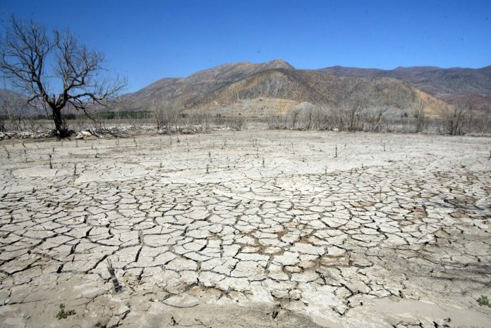 LOS ESPECIALISTAS URGEN a revertir la creciente degradación de suelos en nuestro país.