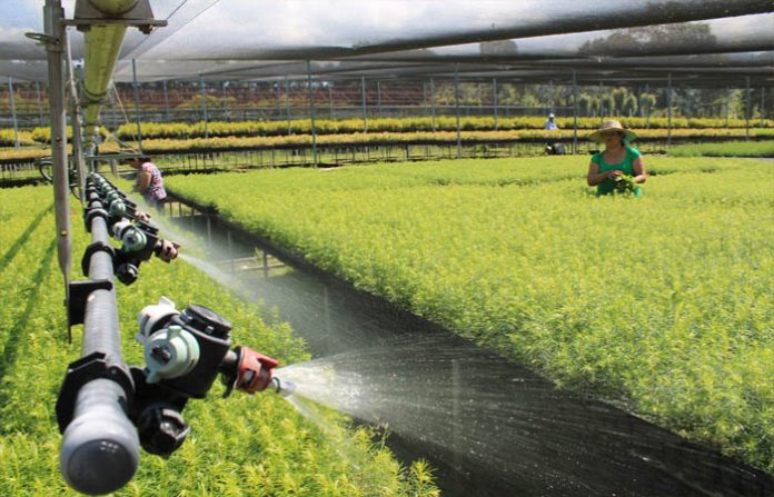 MÉXICO y Francia fortalecen vínculos comerciales y de cooperación, en el marco de la reunión del G20 que se realiza en Japón.