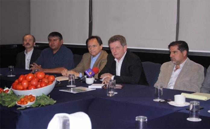 EL CONSEJO de administración de la AMHPAC, pide apoyo a la sociedad mexicana para que de manera integral, apuntale a la industria del tomate en la renegociación con EE.UU.