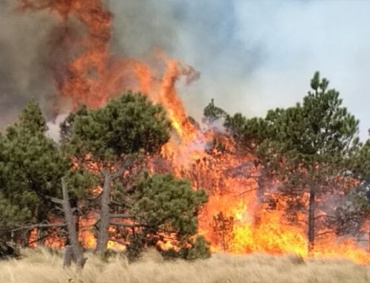 SEGÚN DATOS de la Comisión Nacional Forestal (CONAFOR), en la semana del 26 de abril al 2 de mayo se registraron 181 incendios; y del 3 al 9 de mayo, 215.