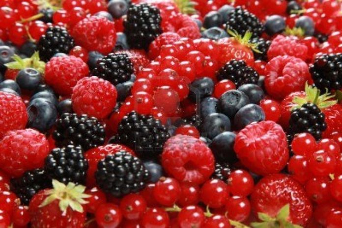 ALREDEDOR DE 362 mil toneladas de berries mexicanas en estado fresco se exportan a 35 países del mundo.