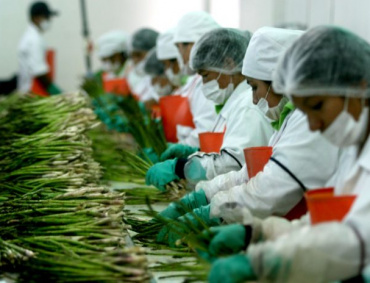 EL CNA señala que el T-MEC beneficiará a las empresas agrícolas y a los consumidores de los tres países.