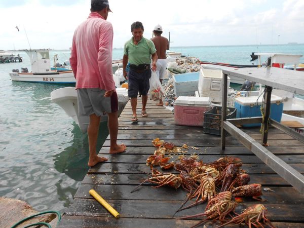 LOS PESCADORES esperan una captura abundante.