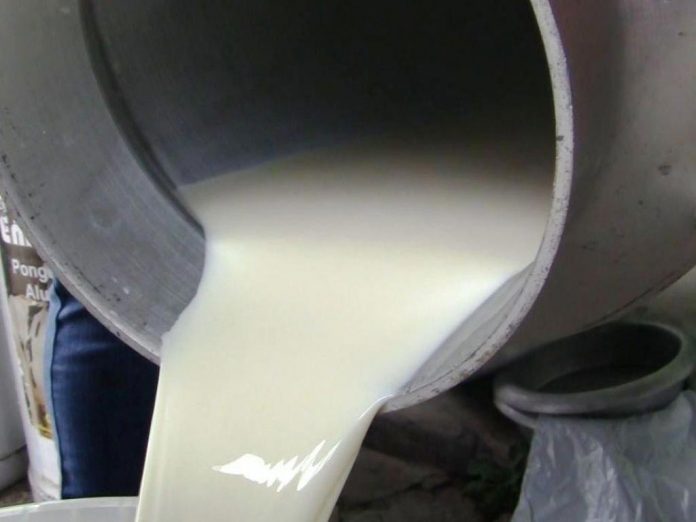 DISMINUYE tanto la producción de leche como de carne.