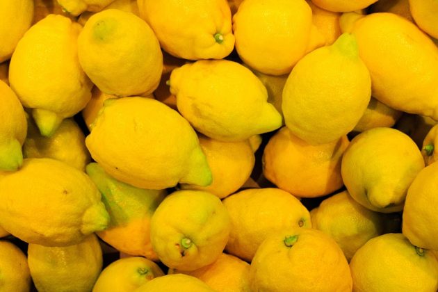 Los productores mexicanos del limón recibirán un duro golpe al importarse limones de Argentina este año.