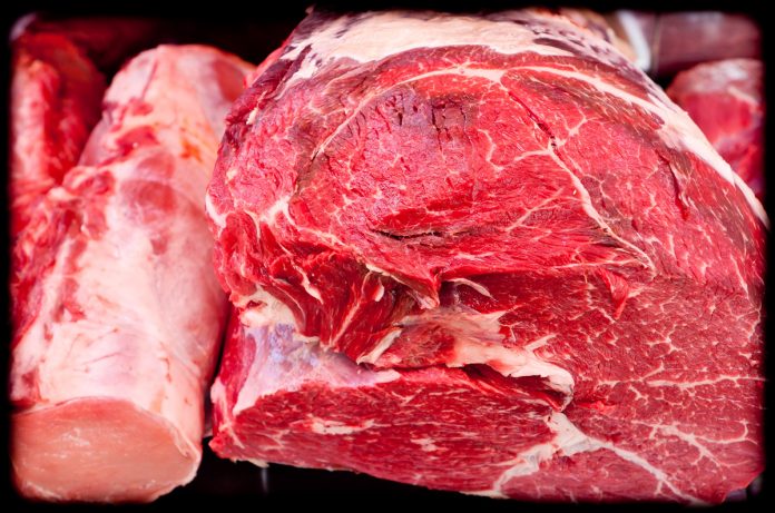 HASTA UN 65 % cayó la exportación de carne de caballo de Zacatecas a Europa en cinco años debido a falta de normas de sanidad e inocuidad.