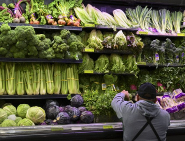 PARA LAS autoridades estadounidenses y canadienses localizar la fuente de la lechuga contaminada puede ser difícil.