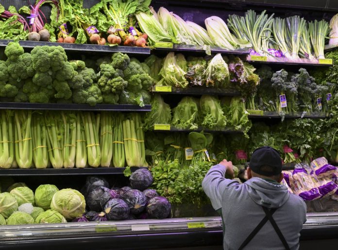 PARA LAS autoridades estadounidenses y canadienses localizar la fuente de la lechuga contaminada puede ser difícil.