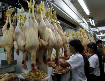 EL POLLO es la proteína animal que más consume el pueblo de Coahuila.