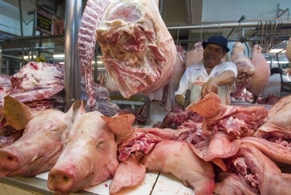 PORCICULTORES PIDIERON a la Federación que pusiera aranceles a los cortes de cerdo importados, sin embargo, la respuesta del gobierno no les favoreció.