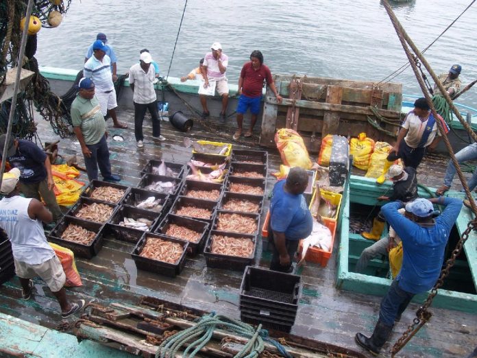 MUCHOS TAMAULIPECOS se dedican a la pesca.