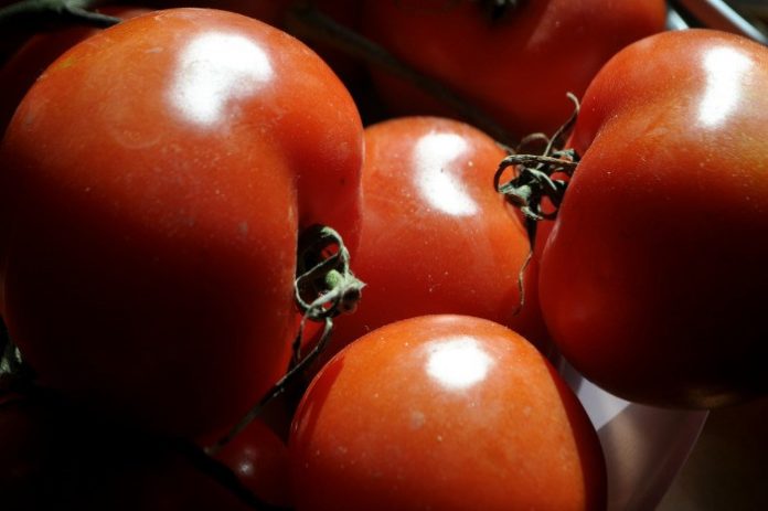 EL COMERCIO entre México Y EE. UU. de tomate, papa, pierna de cerdo y manzana serían abordados en la segunda ronda del TLCAN.