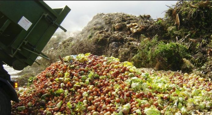 EN MÉXICO se desperdician por año 20.4 millones de toneladas de productos alimenticios por mal manejo y traslado inadecuado.