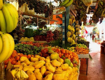 LAS PROPIEDADES anticancerígenas del plátano y mango ya las investigan científicos del IPN.