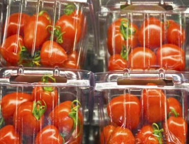 LOS TOMATEROS mexicanos presentaron una propuesta en el Departamento de Comercio de EE.UU. para destrabar el conflicto del tomate.