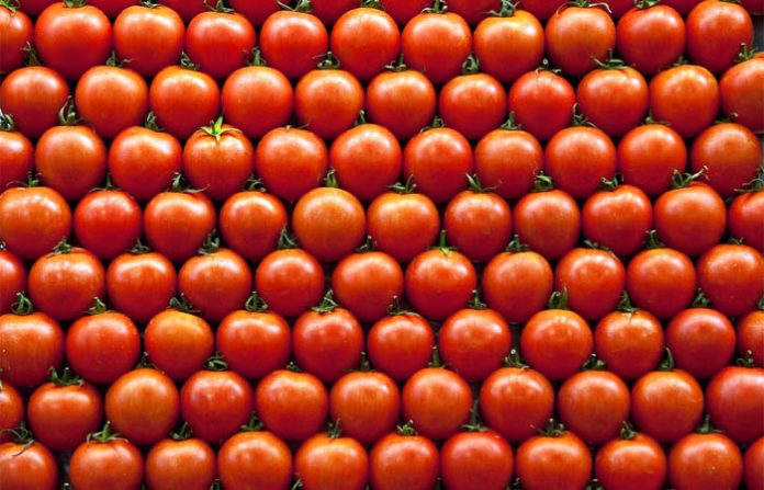 UN IMPORTANTE superávit agroalimentario obtuvo México con EE.UU. en un periodo de 9 meses.