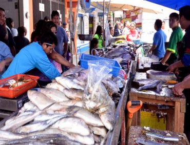 LOS COMERCIANTES de pescados y mariscos esperan rebasar el monto de las ventas del 2018 que dejaron una derrama económica de al menos 22 mil 500 millones de pesos.