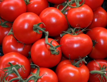 EL PLAZO de la resolución de la acusación de dumping al tomate mexicano bajó a 60 días, afirmó Mario Robles Escalante, presidente de la Comisión para la Investigación y Defensa de las Hortalizas (CIDH).