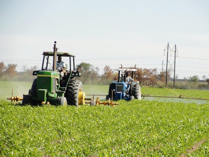 LA SADER, pone las bases para renovar al Consejo Mexicano para el Desarrollo Rural Sustentable (CMDRS)