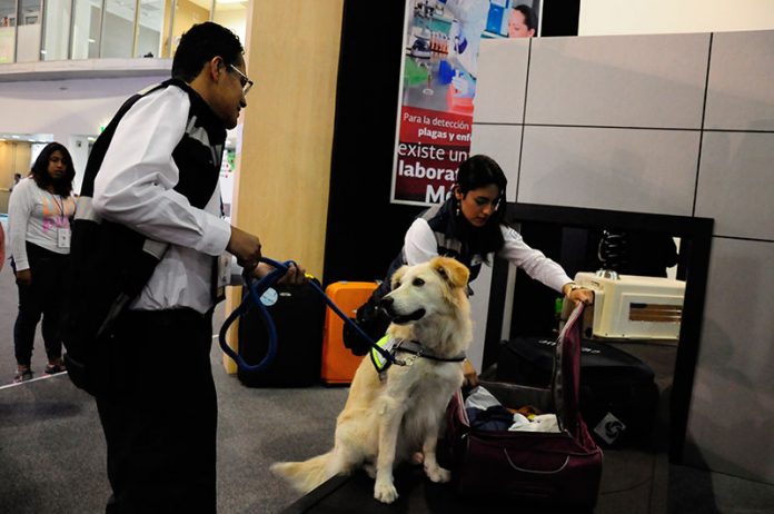 EL GOBIERNO refuerzala inspección y vigilancia fitozoosanitaria en puertos, aeropuertos y fronteras al iniciar el periodo vacacional para evitar el ingreso a México de sustancias peligrosas para el campo.
