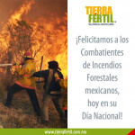 El combatiente forestal, todo un héroe en el combate a los siniestros en los bosques y selvas.