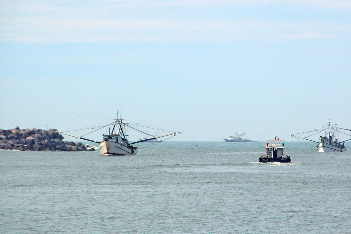 EL PRECIO del diesel marino merma las ganancias de los pescadores.