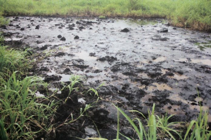 LA MAYORÍA de las fugas de combustible provocadas por llamado "huachicoleo" ha afectados suelos con vocación agrícola y pecuaria
