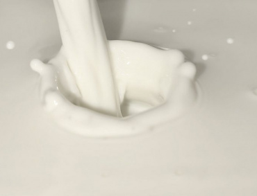 UNA LECHE elaborada a base de fermentación microbiana de proteínas busca sustituir al lacto de vaca.