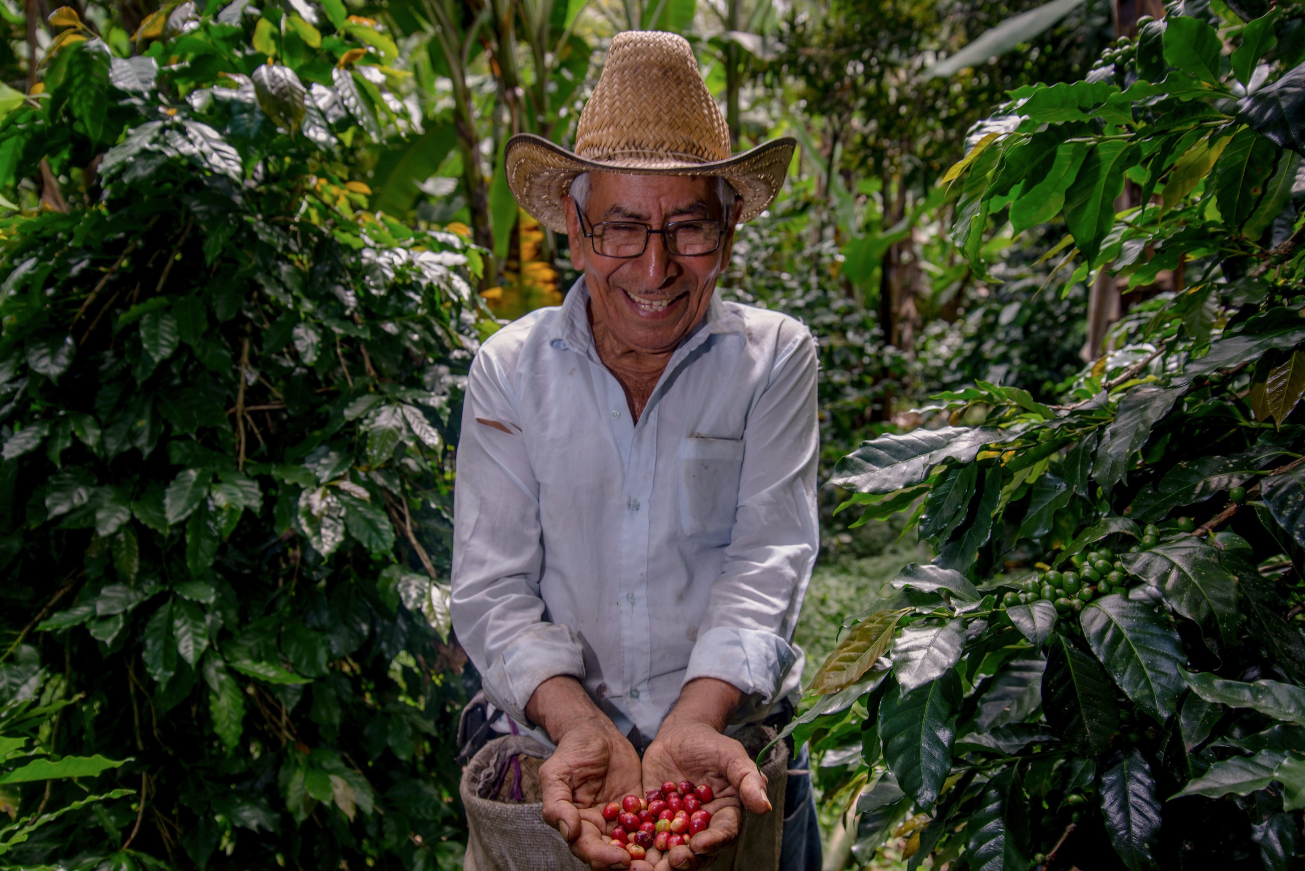 En el primer semestre del año México tuvo un superávit histórico en el ramo de exportaciones agroalimentarias.