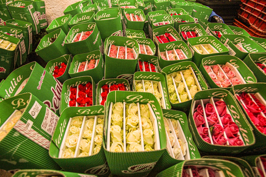 La Secretaría de Agricultura y Desarrollo Rural informó que el año pasado se produjeron cinco mil 368 millones de flores, 3.3 por ciento más respecto a 2021, cuando se obtuvieron cinco mil 196 millones, en particular en los estados de México, Puebla, Veracruz y en la Ciudad de México.