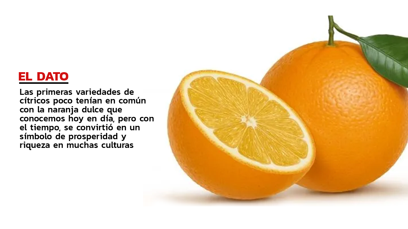 naranja_3