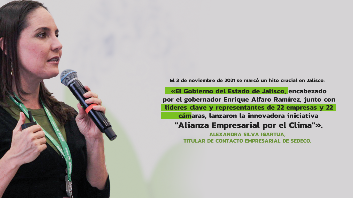 alizanza