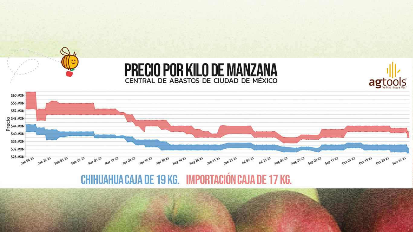 manzana2