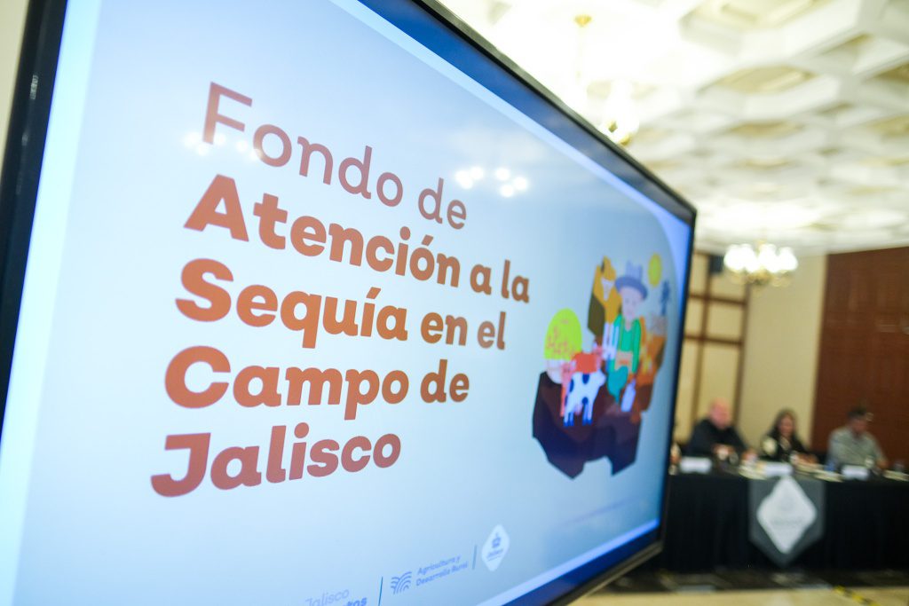 Destina Gobierno de Jalisco 300 mdp para rescatar afectados por la ...