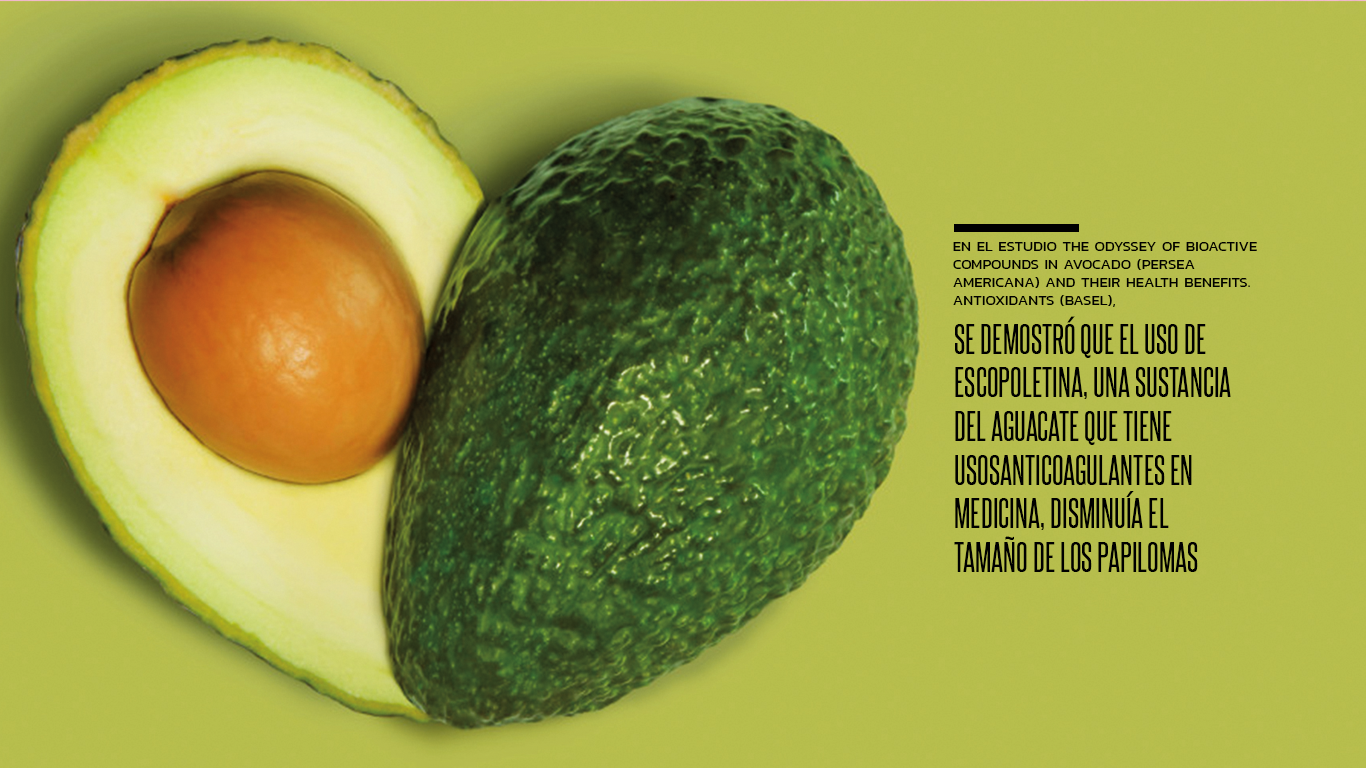 canceraguacate2