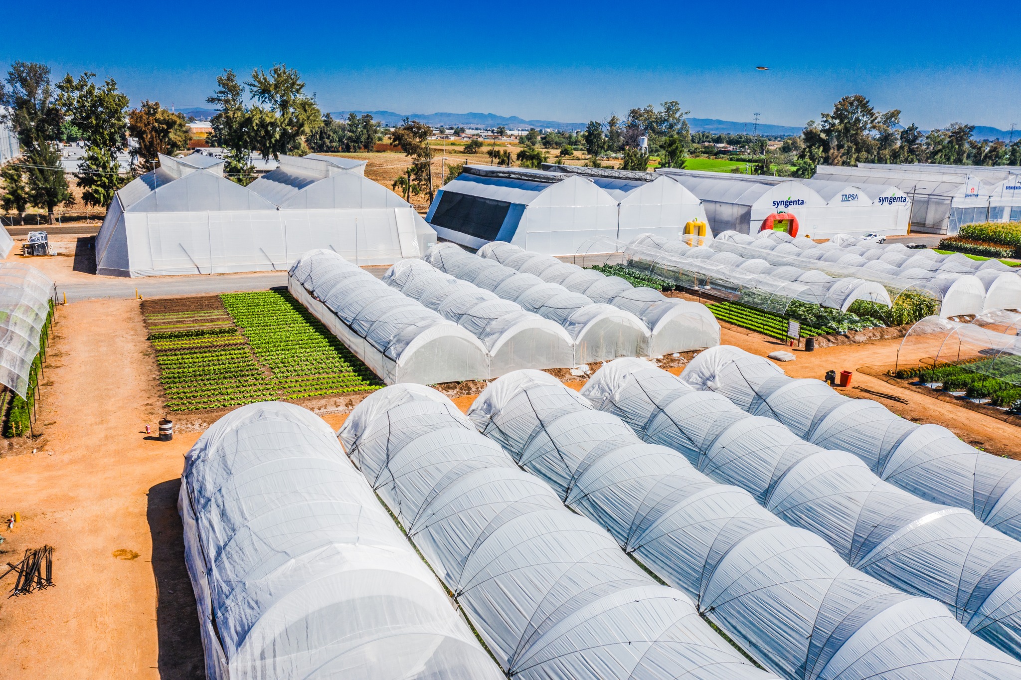 Foto FB @ExpoAgroGto/