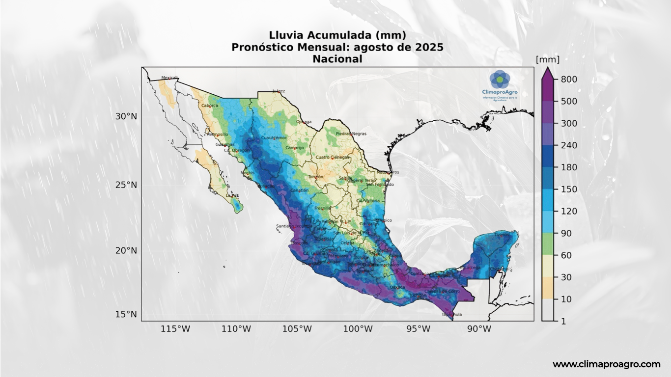 lluvias_jun_4