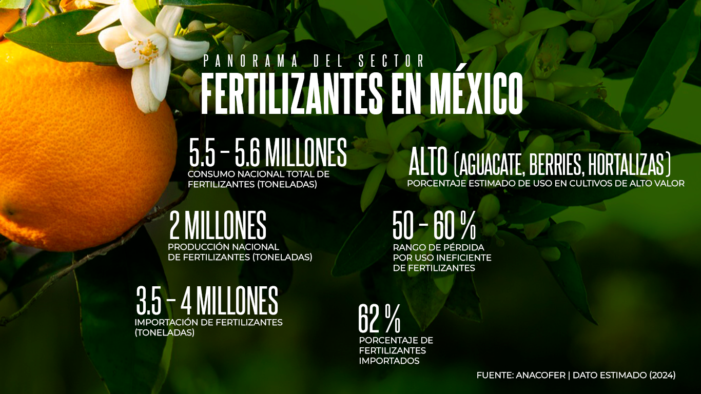 FERTILIZACION03