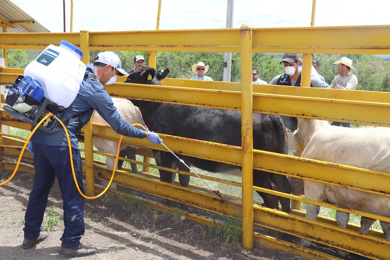 WhatsApp Image 2025-08-28 at 14.38.07 (3)