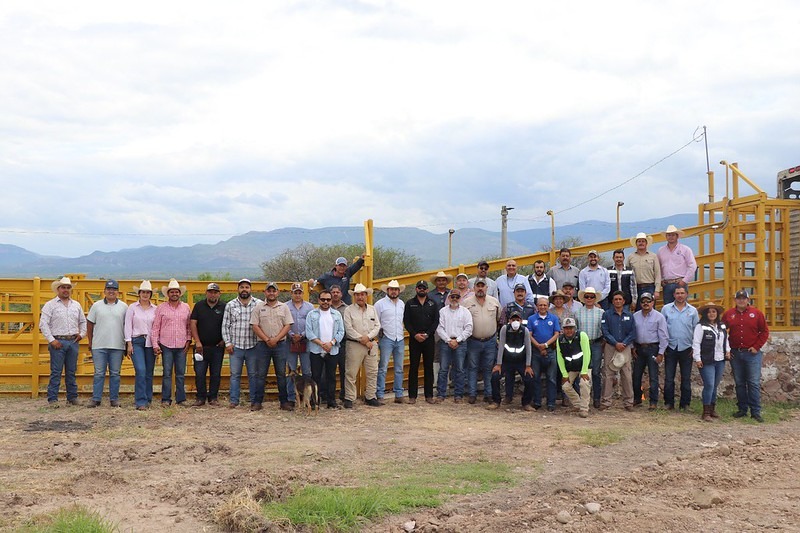 WhatsApp Image 2025-08-28 at 14.38.07 (8)