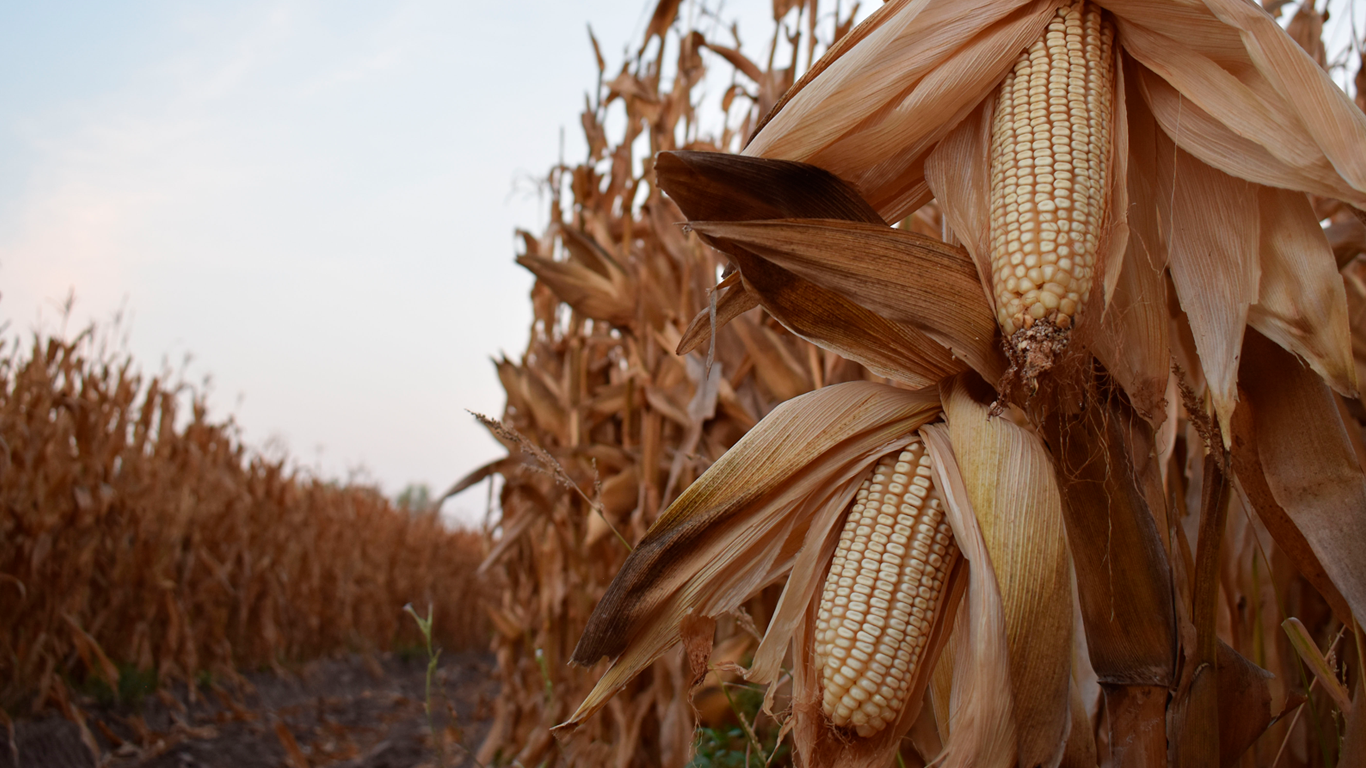 crecimiento_sector-agropecuario25