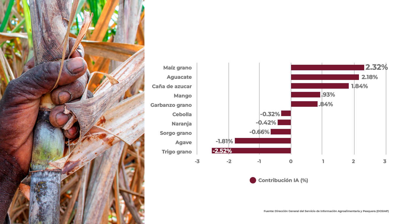 crecimiento_sector-agropecuario_3_25