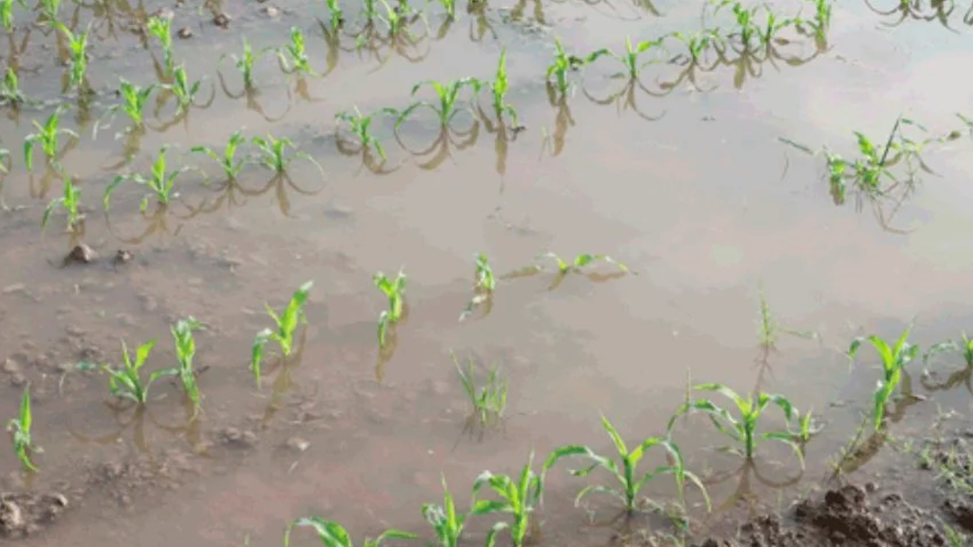 exceso_agua_climaagro4